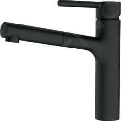 Prima pagina 11 Franke Centro - Miscelatore Da Lavello FP 0098.901 Con Bocca Di Erogazione Estraibile, Nero Opaco 115.0621.592