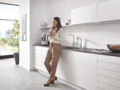 Grohe Blue Professional - Miscelatore Per Lavello Con Sistema Di Filtraggio E Refrigerazione, Doccetta Estraibile, Cromato 31326002 -franke Shop d429ab2bd5f433b7668a6af3